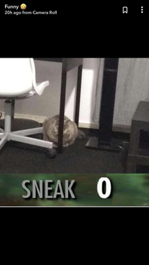 Sneak 