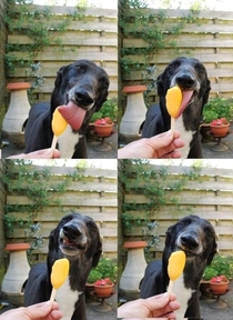 Snoop Dogg really loves ice cream