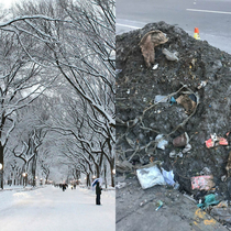 Snow in New York City