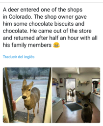 So a deer walks into a shop and then