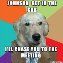 So business dog is coming back