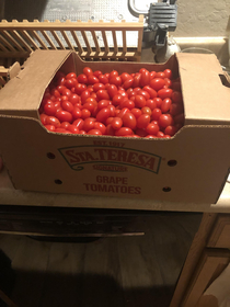 So I asked my mom to grab some grape tomatoes Its a lb box Guess Ill be making tomato paste tomato sauce and anything else that has a frigging tomato in it for the next forever lbs