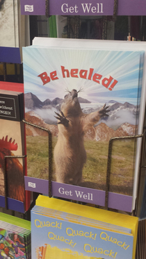 So I found this get well soon card and i knew it had to be shared with the world