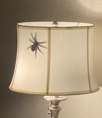 So I printed out a stencil of a spider trimmed it up real nice and taped it to the inside of her lampshade Thankfully I have a comfortable sofa 