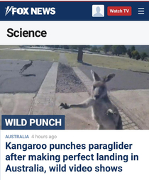 So I pulled up the Top Science story currently on Fox News