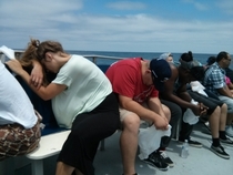 So I went whale watching and this is how much fun most people were having