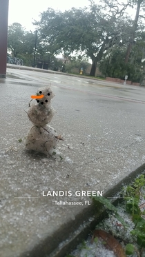 So it snowed in Florida this morning