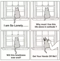 So lonely