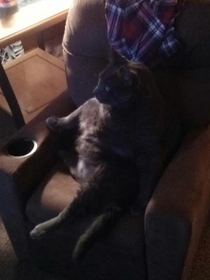 So my cat has now realized the full potential of the little recliner we got him