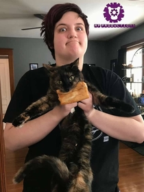 So my cat stole my toaster strudel out of the toaster today and my mom took a picture before prying it out of his mouth