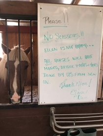 So my dad calls me the other day says he got in trouble at the barn for cutting a horses hair and everyones pissed off I felt bad for him until I got this picture from my mother