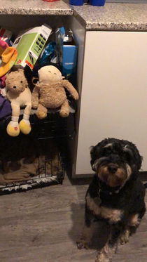 So our dog decided snap both her teddies heads off So we decided in return to swap them round and I think it looks great