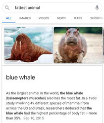So thats what a blue whale looks like