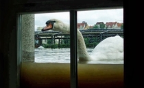 So theres been a bit of rain in Ireland recently