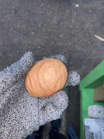 So this egg at work looked like a testicle