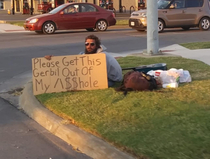 So this guy blew into our town his signs are getting out of hand