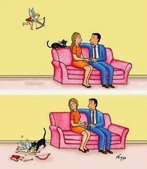So this is why people with cats never find true love