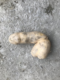 So we were harvesting potatoes and my  year old niece proudly presented me the heart she found 