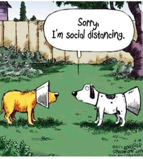 Social Distancing