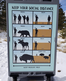 Social Distancing Rules in Wilderness Areas 