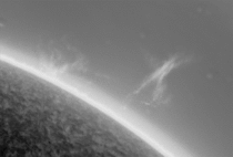 solar activity captured with my telescope from this last weekend  bad visibility - lots of dust but still pretty cool prominence k resolution in comments
