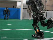 Some day robots will watch this GIF and laugh