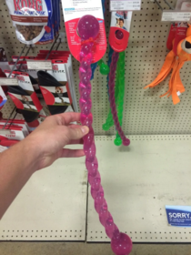 Some dog toys can be interesting