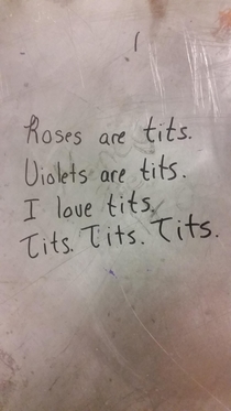Some interesting bathroom stall poetry