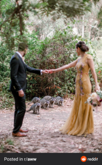 Some invited guests come to enjoy the ceremony