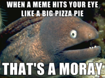 Some people dont know where the bad joke eel came from