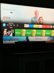 Somebody really wants me to watch Shrek