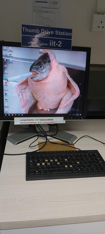 Someone actually changed one of my schools computers background to this
