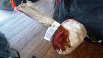Someone checked their rooster on a flight to Vanuatu photo by my husband