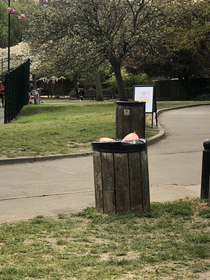 Someone disposed of two balloons in the Bin