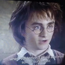 Someone download subtitles for a Harry Potter movie and changed the word wand to penis and I just cant