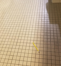 Someone dropped a No on the restroom work at work 