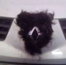 Someone glued hair to the car that was parked in the wrong place
