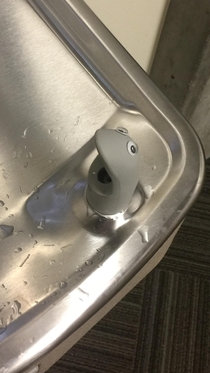 Someone had some fun with the drinking fountain at my university