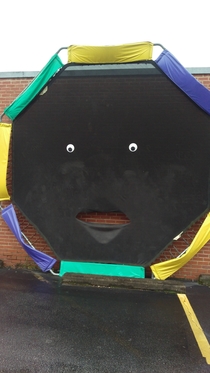 Someone in my town has been having fun with googly eyes
