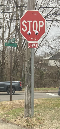 Someone is putting googly eyes on the stop signs in my town