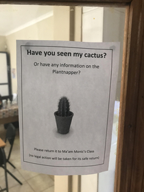 Someone kidnapped my Tourism teachers Cactus