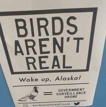 Someone posted these all over campus today
