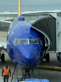 Someone put a FOR SALE sign in the window of this jet