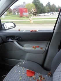 Someone threw a taco into my friends car while yelling TACO TIME