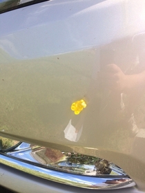 Someone threw something at my car as I passed them When I got out of the car to check for damages this is what I found