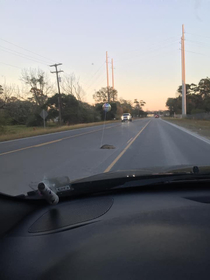 Someone tied a Get Well Soon balloon to some roadkill