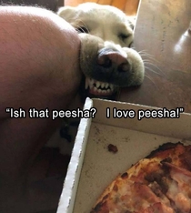 Someone want peesha