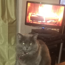 Someone was NOT amused with a fake fireplace
