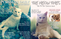Sometimes I like to make fake magazine covers of my cat