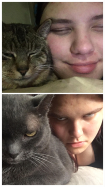 Sometimes I take selfies with my cats and try to make the same faces as them
